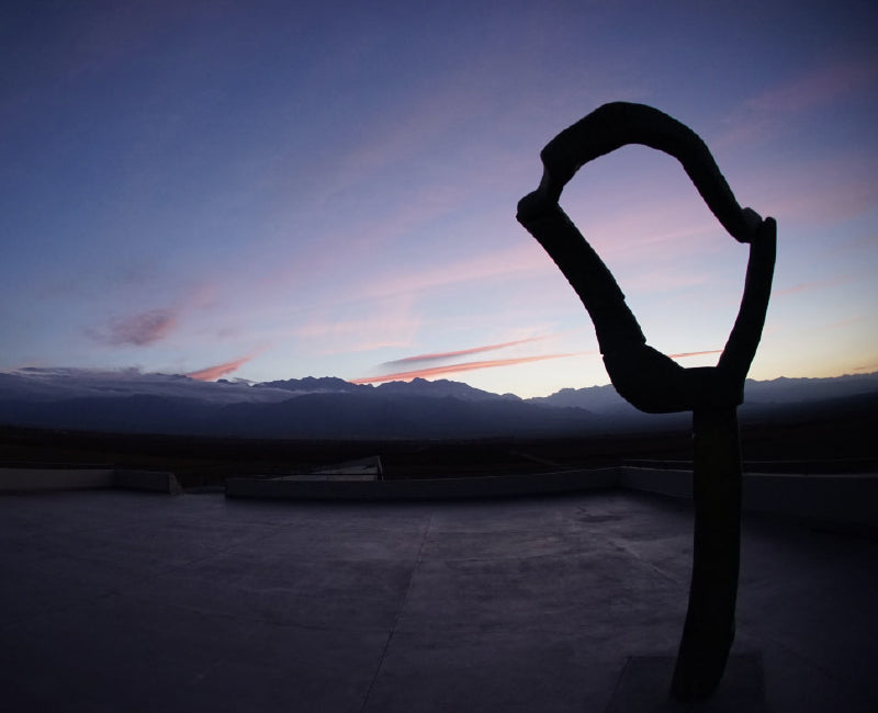 Mendoza – Bodega Monteviejo 'Petite Fleur' Blend