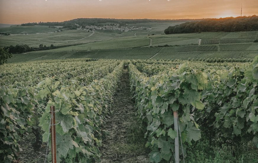 Spring in the Rhode Valley and Provance