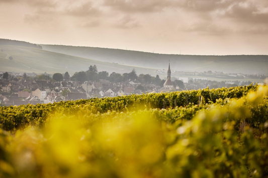 There is Chablis and then there is Chablis!